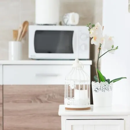 Santa Barbara Rijeka