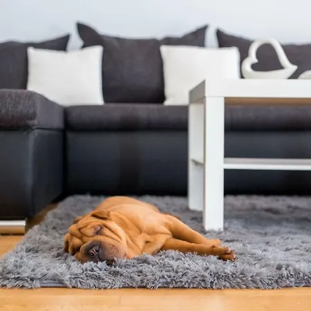 Santa Barbara Rijeka