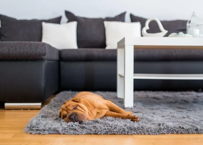 Santa Barbara Rijeka